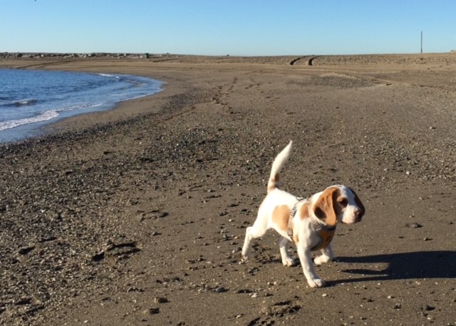 Ensimmäinen viikko Espanjassa