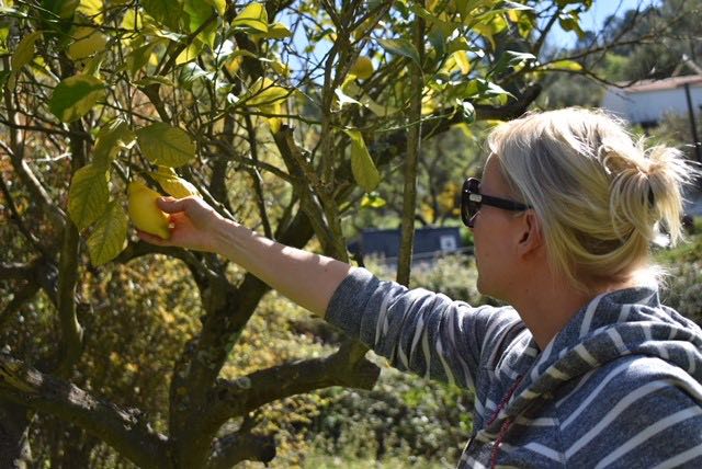 Sapattivapaa – uhka vai&nbsp;mahdollisuus?