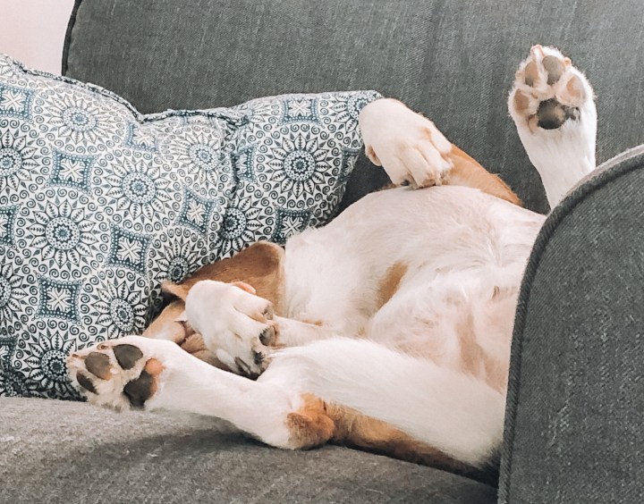 Onnellisuuden lyhyt oppimäärä, osa&nbsp;1