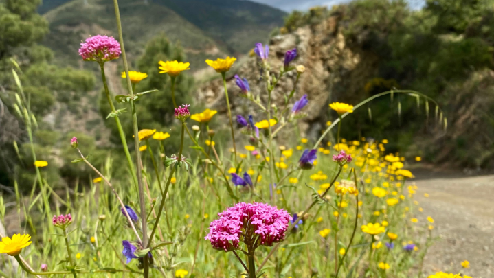 Espanja on patikoijan&nbsp;paratiisi!