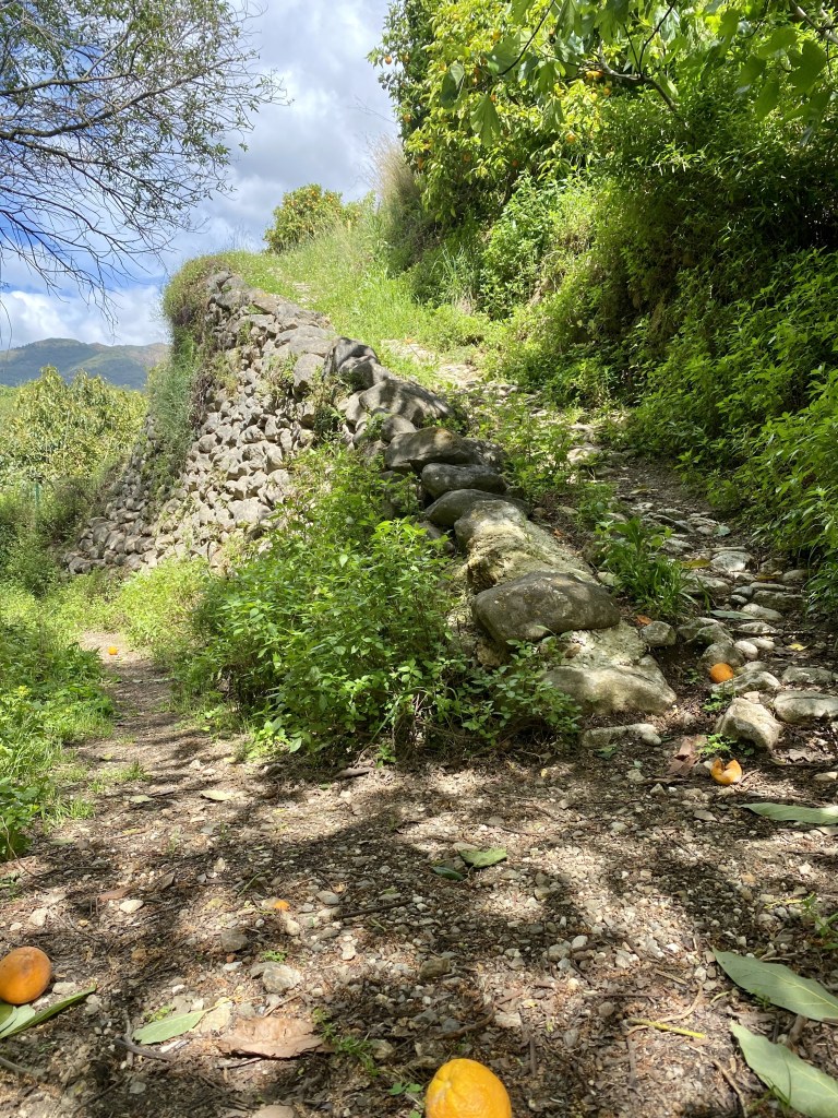 Polku paratiisiin, eli hedelmätarhalle.
