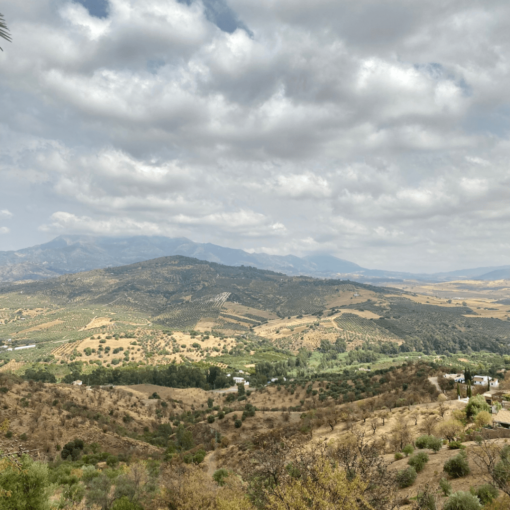 Marbellasta ajaa puolessa tunnissa vuorille, maaseudun rauhaan. 