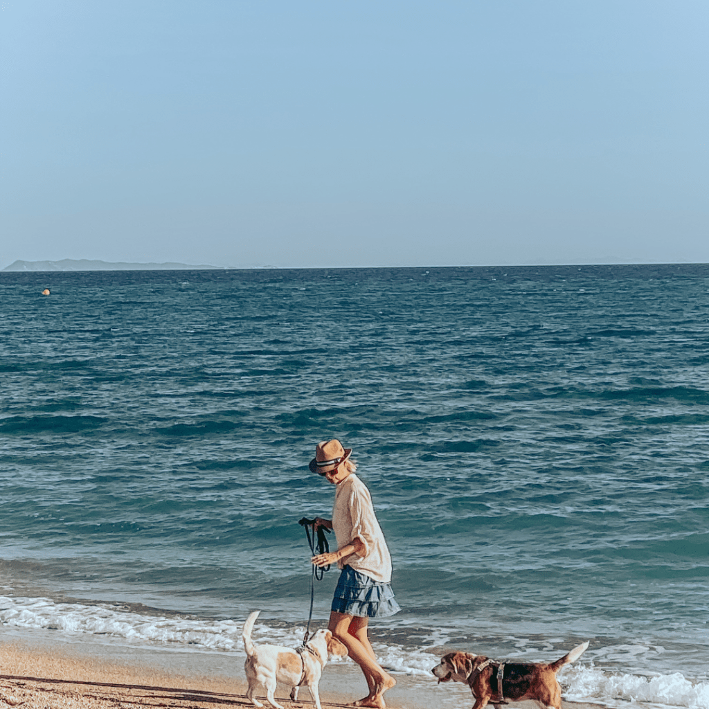 Kesällä koirilla ei ole tavallisille rannoille asiaa - koirarannat ovat sitten asia erikseen. 