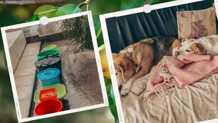 Talo Espanjasta – sataa kuin saavista&nbsp;kaatamalla