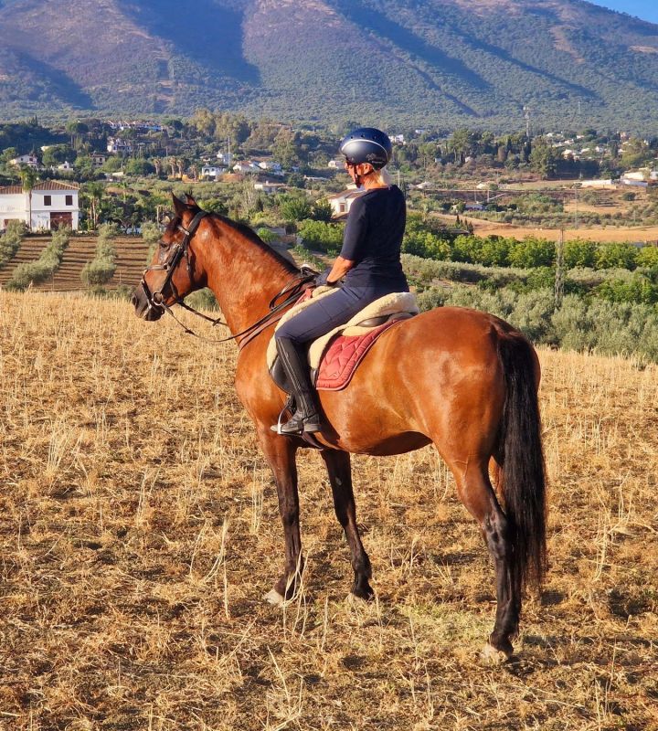 Hepolasta tuli totta – Päärynälaakson&nbsp;kesäkuulumisia