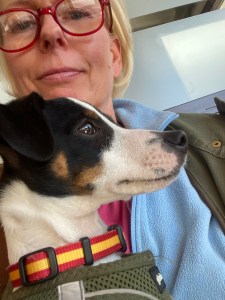 Zorro eläinlääkärissä